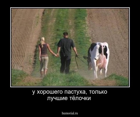 у хорошего пастуха, только лучшие тёлочки 