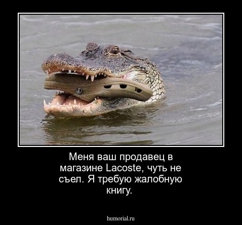 Меня ваш продавец в магазине Lacoste, чуть не съел. Я требую жалобную книгу. 
