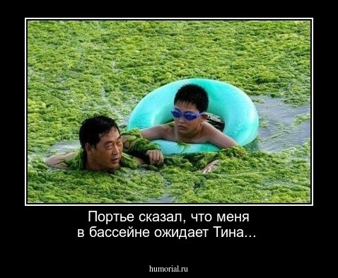 Портье сказал, что меня в бассейне ожидает Тина...
