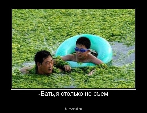 -Бать,я столько не съем
