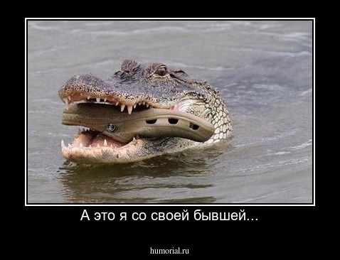 А это я со своей бывшей...