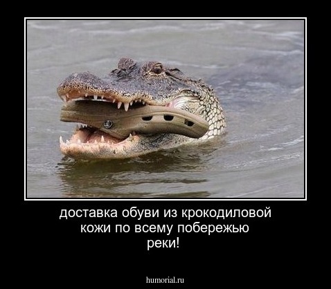 доставка обуви из крокодиловой кожи по всему побережью реки!