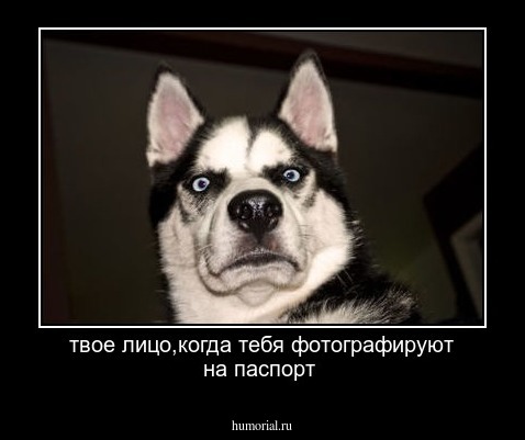  твое лицо,когда тебя фотографируют на паспорт