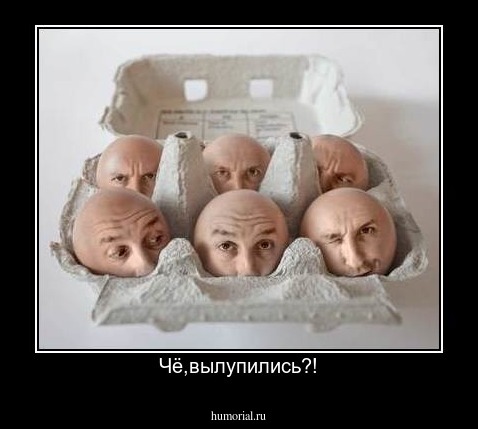 Чё,вылупились?!