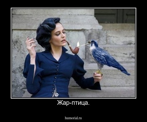 Жар-птица.
