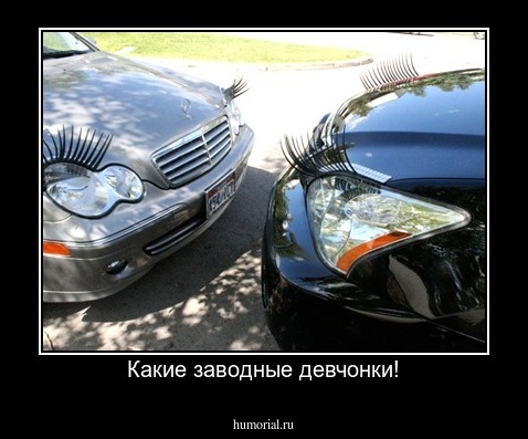 Какие заводные девчонки!