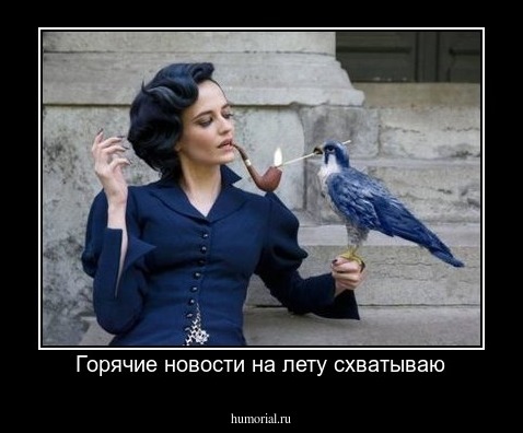 Горячие новости на лету схватываю