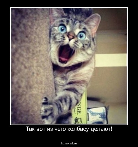 Так вот из чего колбасу делают!