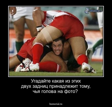 Угадайте какая из этих двух  задниц  принадлежит тому,  чья голова на фото?