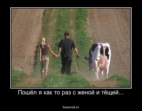 Пошёл я как то раз с женой и тёщей...
