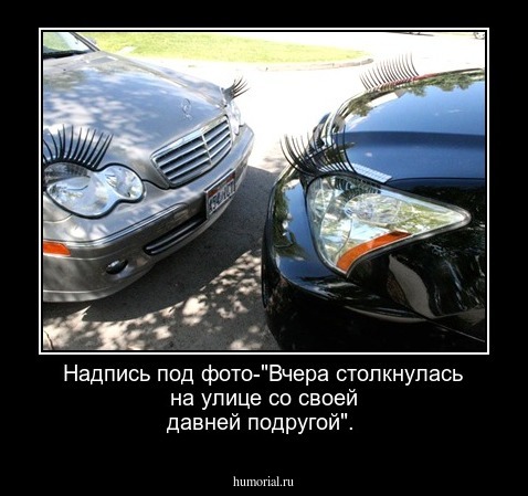 Надпись под фото-"Вчера столкнулась на улице  со своей давней подругой".
