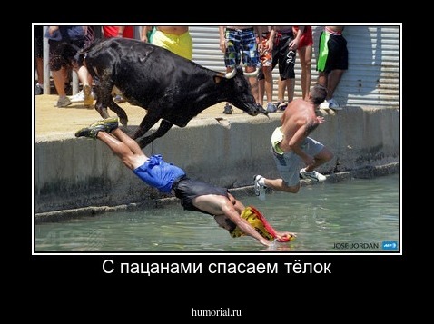 С пацанами спасаем тёлок