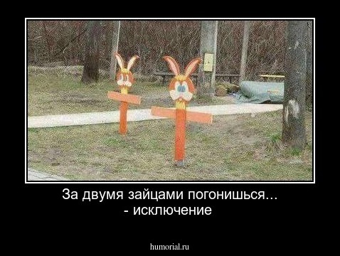 За двумя зайцами погонишься... - исключение
