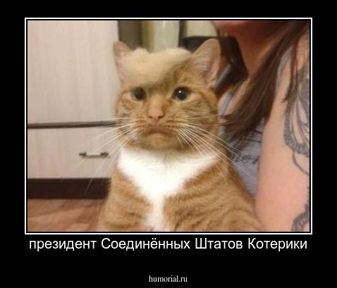 президент Соединённых Штатов Котерики