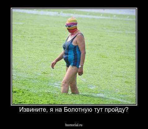 Извините, я на Болотную тут пройду?