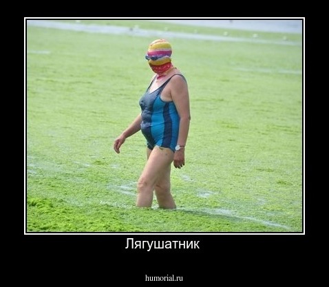 Лягушатник 