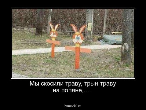 Мы скосили траву, трын-траву на поляне,....