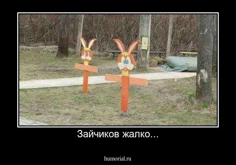 Зайчиков жалко...