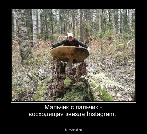 Мальчик с пальчик - восходящая  звезда Instagram.