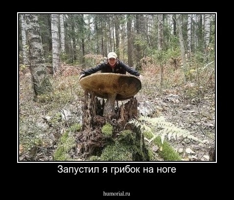 Запустил я грибок на ноге