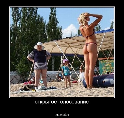 открытое голосование
