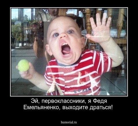 Эй,  первоклассники, я Федя  Емельяненко,  выходите драться!