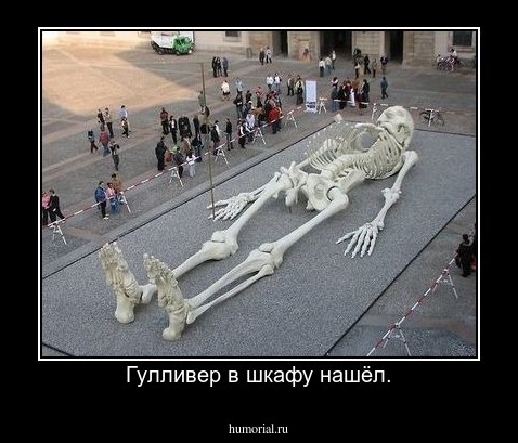 Гулливер в шкафу нашёл.