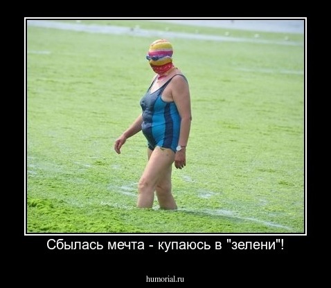 Сбылась мечта - купаюсь в "зелени"!