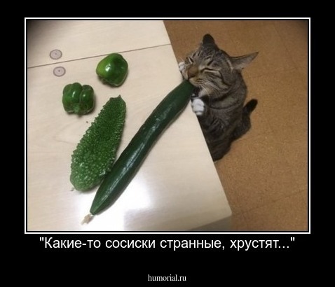 "Какие-то сосиски странные, хрустят..."