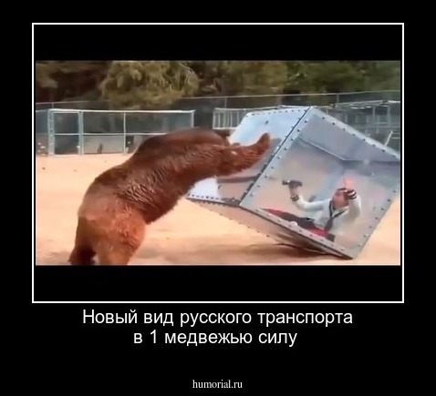 Новый вид русского транспорта в 1 медвежью силу