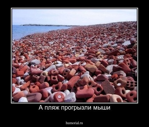 А пляж прогрызли мыши