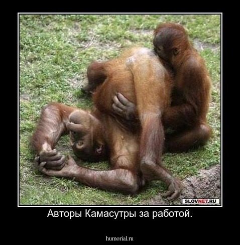 Авторы Камасутры за работой.
