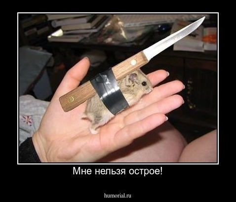Мне нельзя острое!
