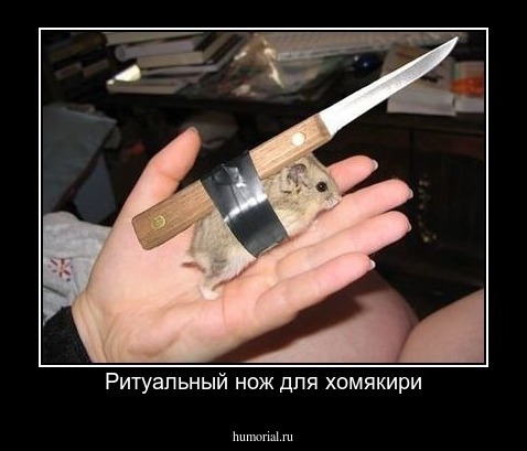 Ритуальный нож для хомякири
