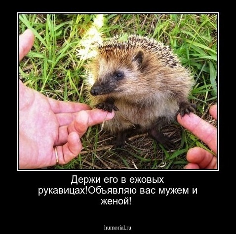 Держи его в ежовых рукавицах!Объявляю вас мужем и женой!