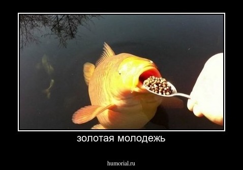 золотая молодежь