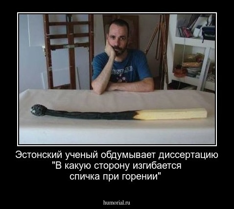 Эстонский ученый обдумывает диссертацию "В какую сторону изгибается спичка при горении"