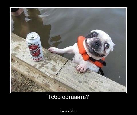 Тебе оставить?