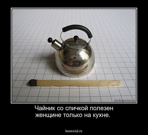 Чайник со спичкой полезен женщине только на кухне.