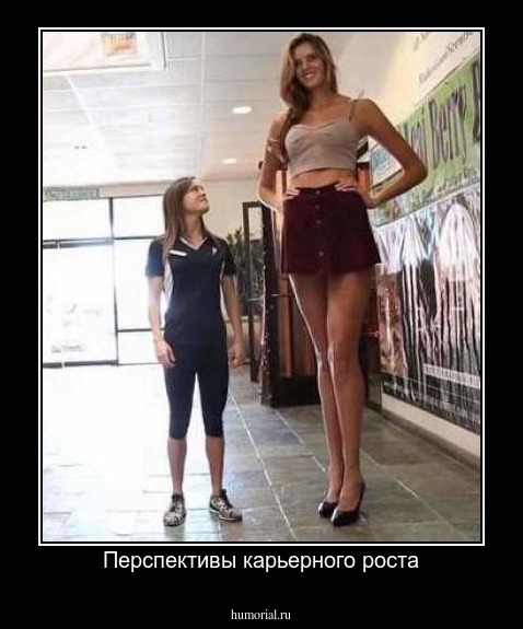 Перспективы карьерного роста