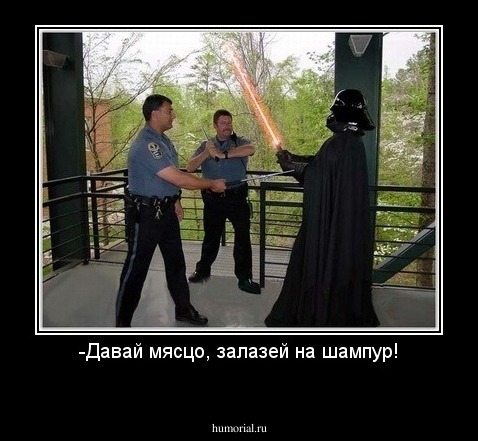 -Давай мясцо, залазей на шампур!
