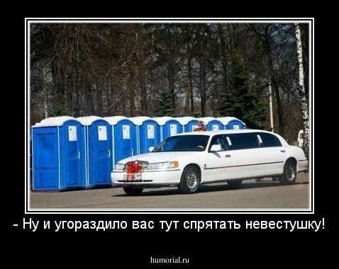 - Ну и угораздило вас тут спрятать невестушку!