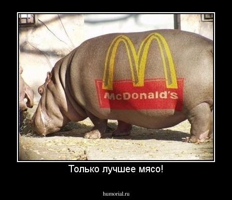 Только лучшее мясо!