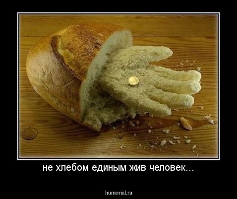 не хлебом единым жив человек...