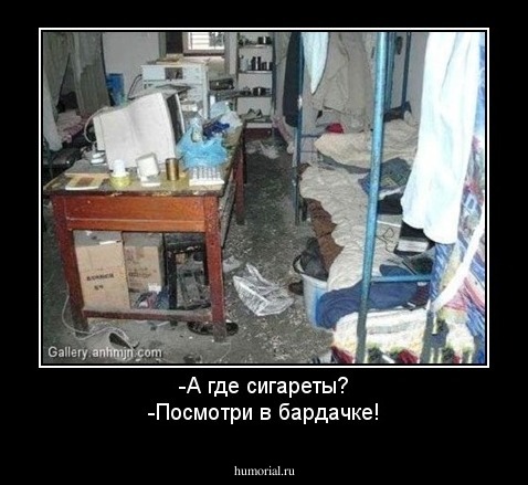 -А где сигареты?
-Посмотри в бардачке!