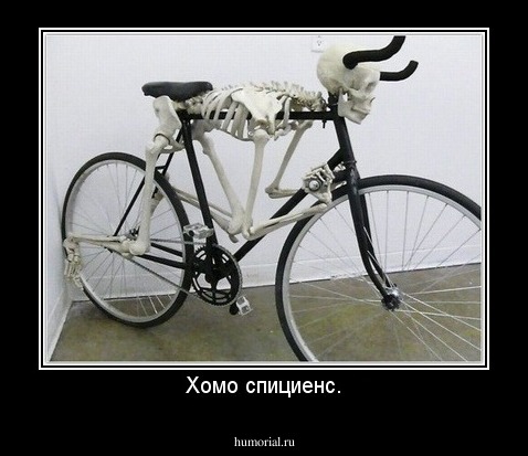 Хомо спициенс.