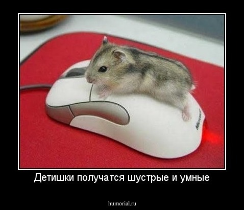 Детишки получатся шустрые и умные