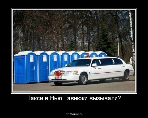 Такси в Нью Гавнюки вызывали?