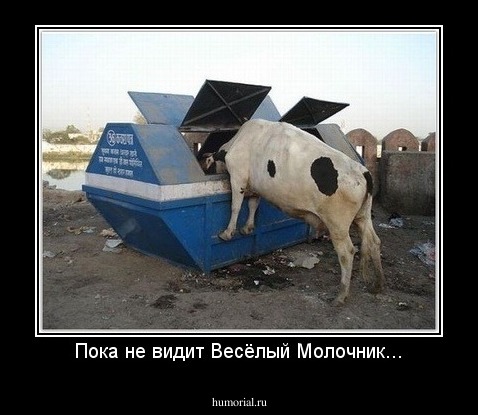 Пока не видит Весёлый Молочник...