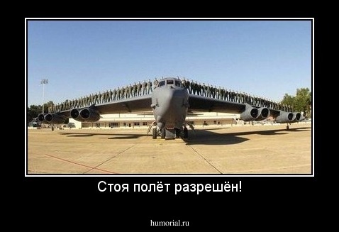 Стоя полёт разрешён!